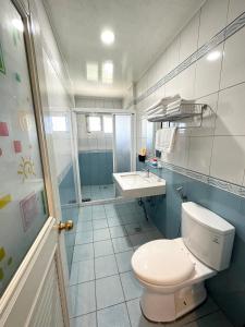 Leye紫龍星空民宿的一间带卫生间和水槽的浴室