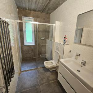 PstružíApartmány Pstruží AP19的带淋浴、卫生间和盥洗盆的浴室