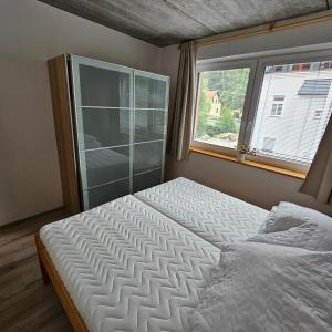 PstružíApartmány Pstruží AP19的一间卧室设有一张大床和一个窗户。