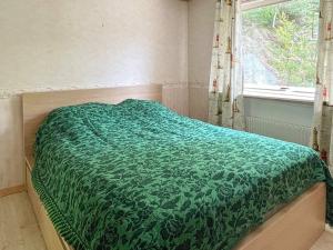 瓦尔科瑞尔Holiday home VAREKIL VI的窗户客房内的一张带绿色棉被的床