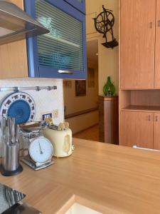 福尔米亚Il nido dell’albatros的厨房台面上配有烤面包机