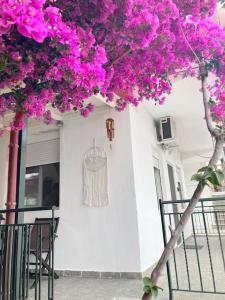 阿莫利亚尼岛Mokamvilia House的房子边有粉红色花的树