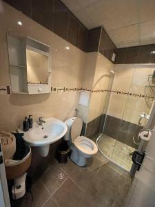 圣弗拉斯Лятно студио的浴室配有卫生间、盥洗盆和淋浴。