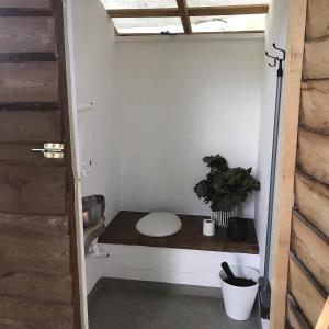 利加特内Glempings Jaunsaimnieki的一间带卫生间和桌子上植物的浴室
