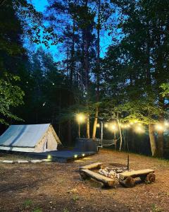 利加特内Glempings Jaunsaimnieki的夜间森林里灯火通明的帐篷