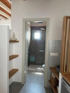 阿斯提帕莱亚镇Arhodiko Studios的一间带步入式淋浴间和卫生间的浴室