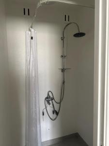 厄斯特松德游客熊酒店的带淋浴和浴帘的浴室
