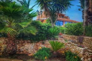 锡拉库扎Villa Vella的一座种有棕榈树和石墙的花园