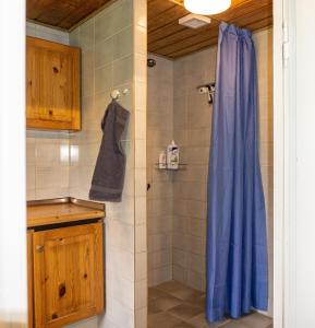 比伦德Krog Feriehus的一间带蓝色淋浴帘的淋浴的浴室