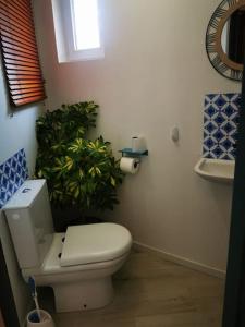 滨海圣芒德里耶Jolie Maison au coeur du village的一间带卫生间和盆栽的浴室