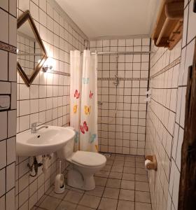 LeśnoŚródziemie Gondor的一间带水槽、卫生间和淋浴的浴室