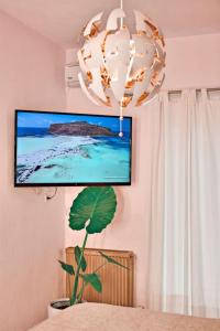 阿基欧斯尼古拉斯Ruby Apartment的一间配有平面电视和盆栽植物的客房