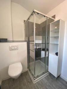 Bourg-Saint-ChristopheLoft and Studio and Love Room的浴室设有玻璃淋浴间和卫生间
