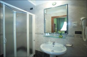 佛罗伦萨古老佛罗伦萨食宿客栈的一间带水槽、淋浴和镜子的浴室