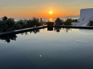 米克诺斯城Asty Mykonos Hotel & Spa - World of One Hotel Group的一座享有日落美景的游泳池
