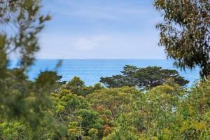 洛恩Seaview Treehouse - three minute walk to the beach的从树木的森林中欣赏到海洋美景