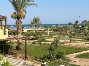 艾因苏赫纳A sea view spacious cheering 5 bedroom villa Ain Sokhna "Ain Bay" فيلا كاملة للإيجار قرية العين باي的享有棕榈树公园和大海的景色