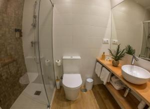 尼格兰CostaSerenaSuites的带淋浴、卫生间和盥洗盆的浴室