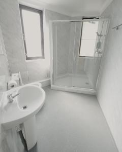 埃布韦尔Level Inn的带淋浴和盥洗盆的白色浴室