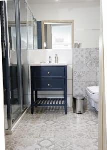 弗罗茨瓦夫Apartament Amerigo的浴室配有蓝色水槽和卫生间。
