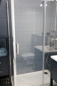 弗罗茨瓦夫Apartament Amerigo的带淋浴、卫生间和盥洗盆的浴室