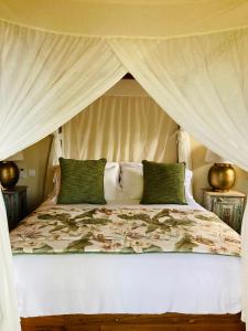 沙马雷勒Chamarel Mountain chalets的一间卧室配有一张带天蓬的床