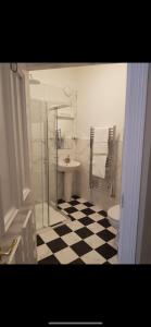 丁格尔Adams Townhouse的带淋浴、卫生间和盥洗盆的浴室