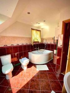 BaložiVillaSun的带浴缸、卫生间和盥洗盆的浴室