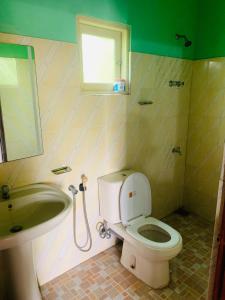 高尔Hareesha Holiday Resort的一间带卫生间、水槽和镜子的浴室
