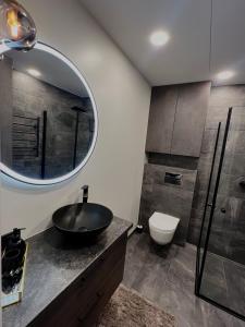 维尔纽斯J.Kairiūkščio apartamentai的一间带水槽、卫生间和镜子的浴室