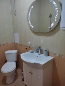 斯利文Apartment Ventuno 21的一间带卫生间、水槽和镜子的浴室