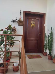 斯利文Apartment Ventuno 21的走廊上设有棕色的门,还有一些植物