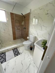 瓦马Casa cu Pitici的白色的浴室设有卫生间和淋浴。