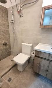 拉米亚Stylish studio - Your private place in Lamia的浴室配有卫生间、盥洗盆和淋浴。