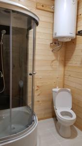 博尔若米Tsemi My House的浴室配有卫生间、淋浴和盥洗盆。