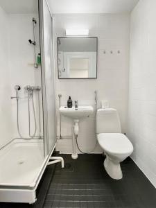 波里Aava's apt. FREE Parking的浴室配有卫生间、盥洗盆和淋浴。