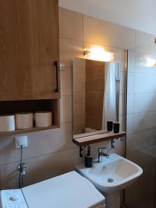 帕拉塔蒙Niki Apartments Beach Loft的一间带水槽和镜子的浴室
