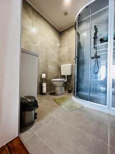 乌马格San Marco Luxury Rooms Umag的一间带卫生间和玻璃淋浴间的浴室