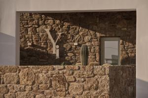 埃利亚海滩Yi Hotel Mykonos的石墙,带镜子和仙人掌