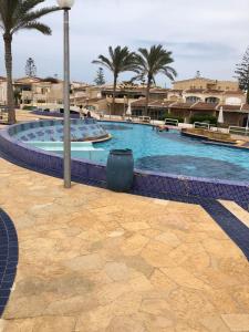 阿莱曼فندق جراند كليوباترا الساحل الشمالى المنتزه ك80的度假村内一座种有棕榈树的大型游泳池
