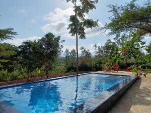 卡拉图Tanzanice Farm Lodge的一座位于树木林立的度假村内的游泳池