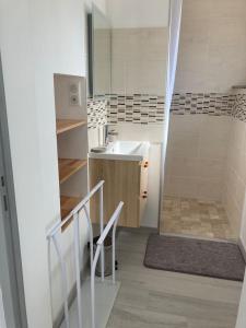 FeingsGITE DE LA CAZELLERIE的一间带水槽和淋浴的小浴室
