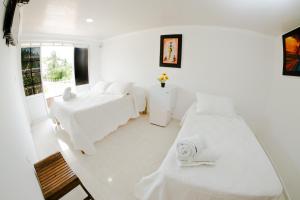 圣安德烈斯Hotel Campestre Dorado SAI的白色的客房设有两张床和窗户。