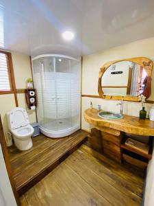 蓬塔露奇亚Rustic House Punta Rucia的一间带水槽、卫生间和镜子的浴室