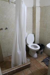 门多萨Hostel Int Mendoza的浴室设有卫生间和带浴帘的淋浴。