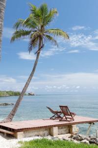 Tintipan IslandSal Si Puedes的海滩上的两把椅子和一棵棕榈树