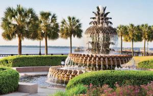 查尔斯顿☆Live on the Water! Lake Palmetto Palm w/ Patio - 10Min to Downtown & Beaches☆的棕榈树公园中央的喷泉