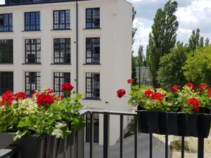罗兹Niezapominajka przy Manufakturze的阳台上装满红花的两个黑色容器