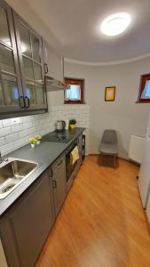 艾斯特根Danubia Apartman的厨房配有水槽和台面
