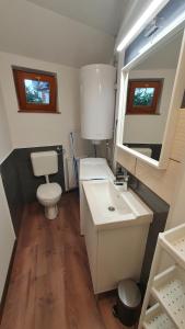 艾斯特根Danubia Apartman的一间带卫生间和水槽的小浴室